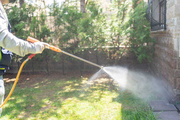 Best Affordable Pest Control Services  in Guntown, MS