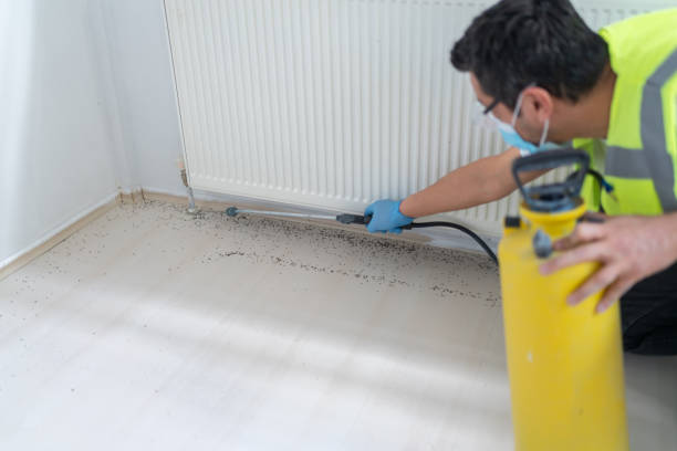 Wasp Removal Services in Guntown, MS